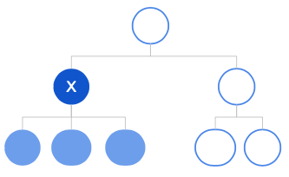 Organisation-Middle